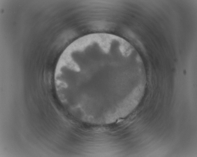 X0000067390115200604281852