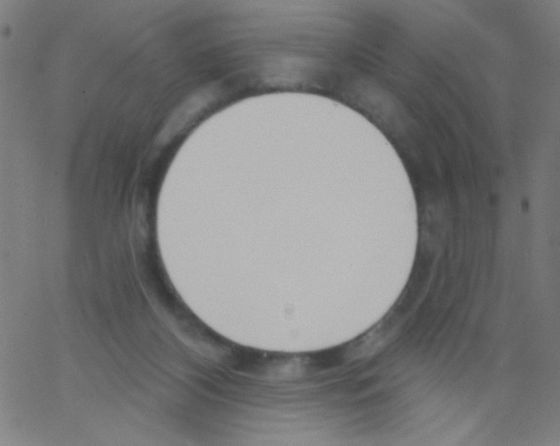 X0000067390116200604281852