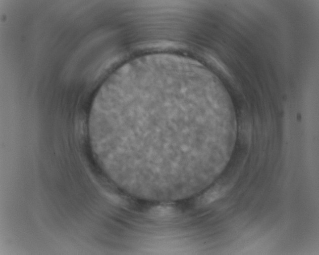 X0000067390119200604281852