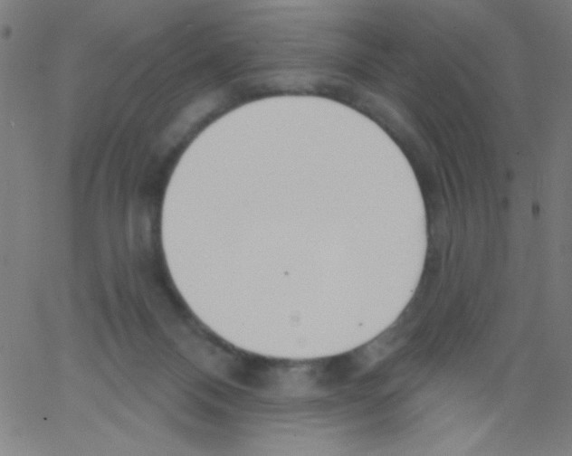 X0000067390120200604281852