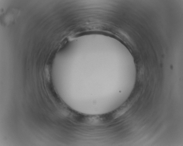 X0000067390121200604281852