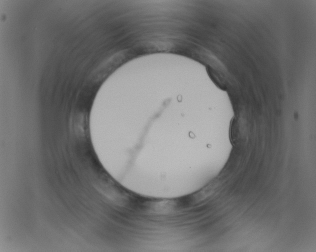 X0000067390122200604281852