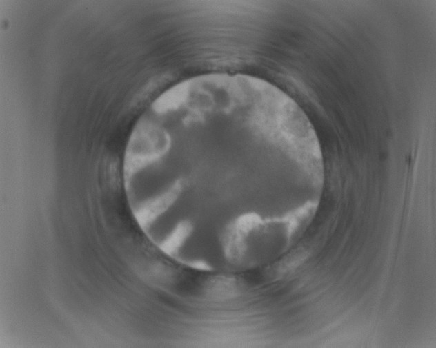 X0000067390123200604281852