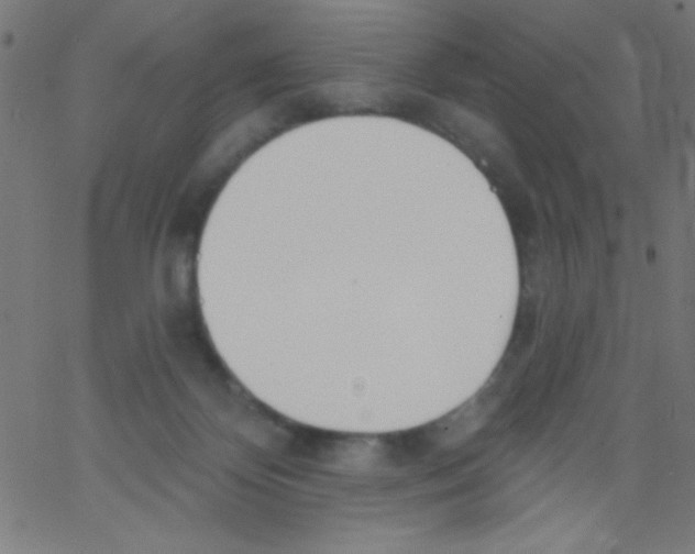 X0000067390124200604281852