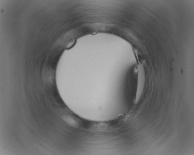 X0000067390125200604281852