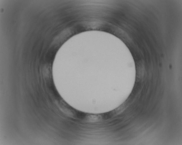 X0000067390126200604281852