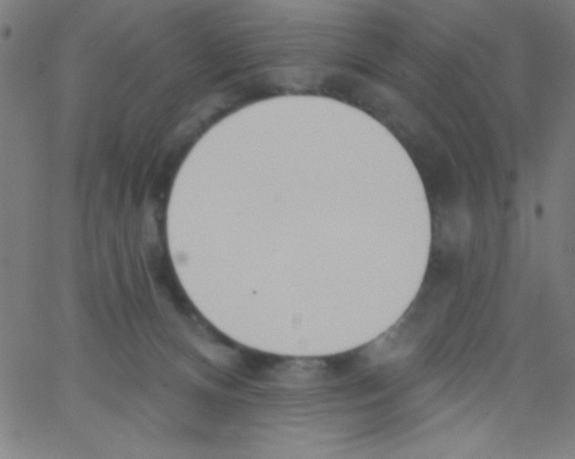 X0000067390128200604281852