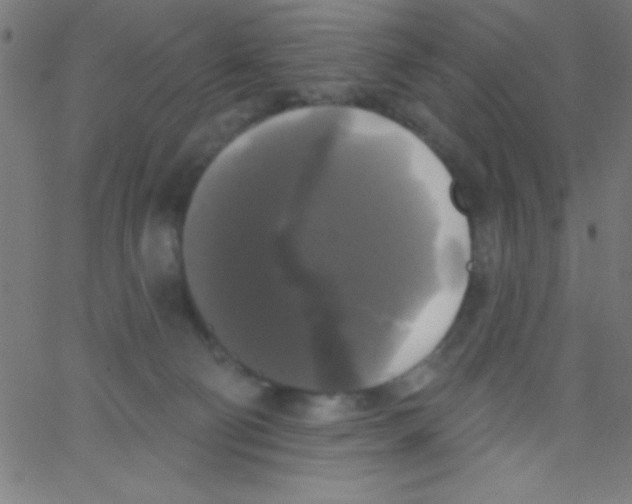 X0000067390130200604281852