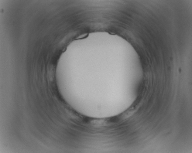 X0000067390133200604281852