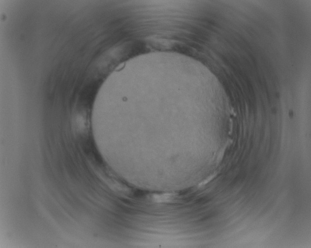 X0000067390134200604281852