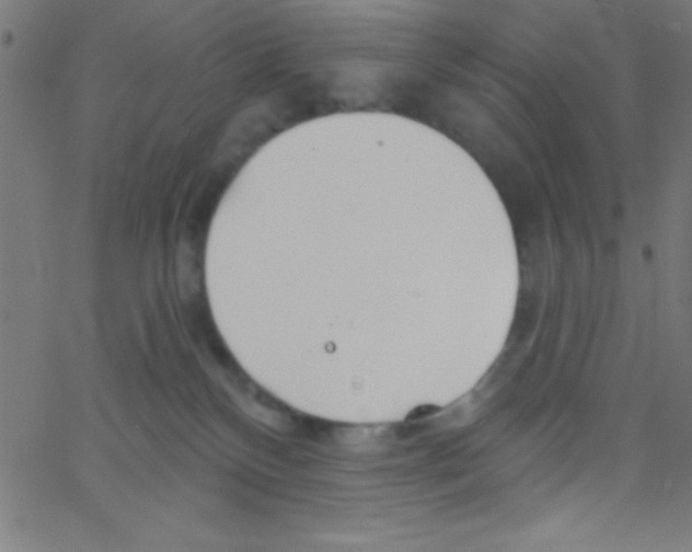 X0000067390136200604281852