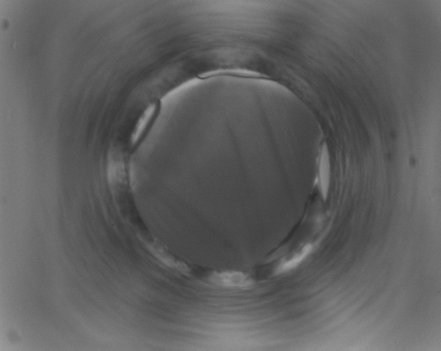 X0000067390137200604281852