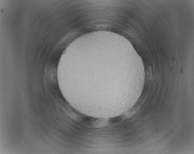 X0000067390138200604281852