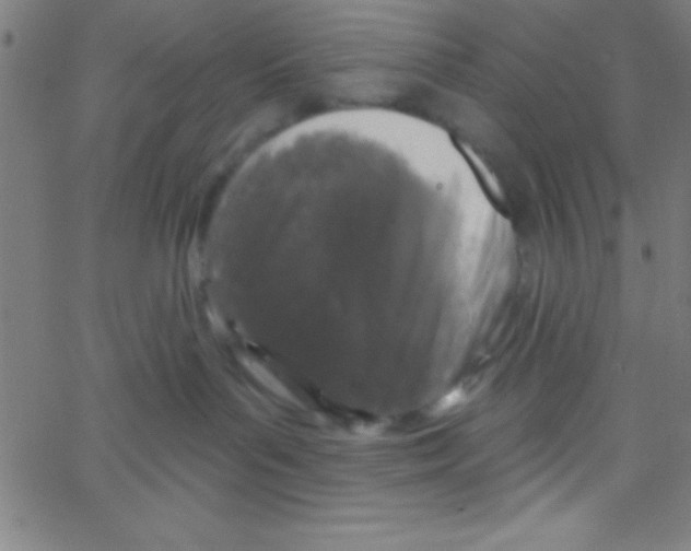 X0000067390143200604281852