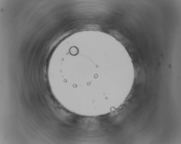 X0000067390146200604281851