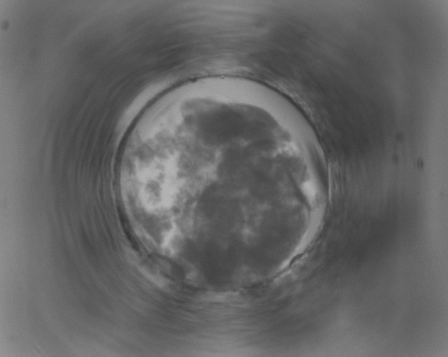 X0000067390147200604281851