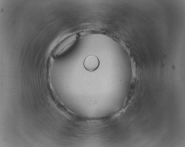 X0000067390150200604281851