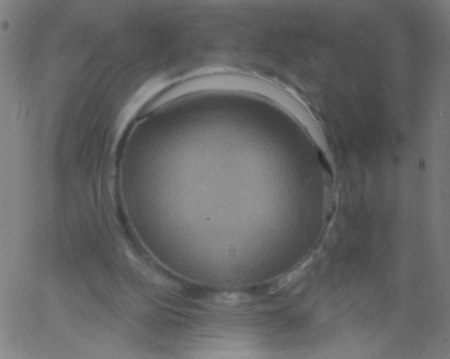 X0000067390152200604281851