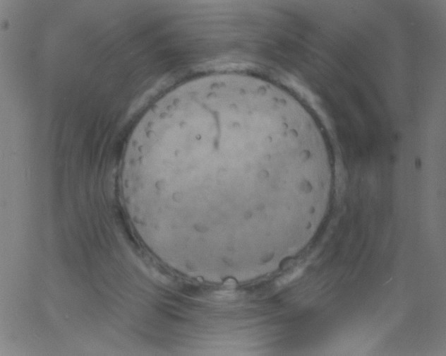 X0000067390153200604281851