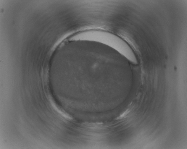 X0000067390156200604281851