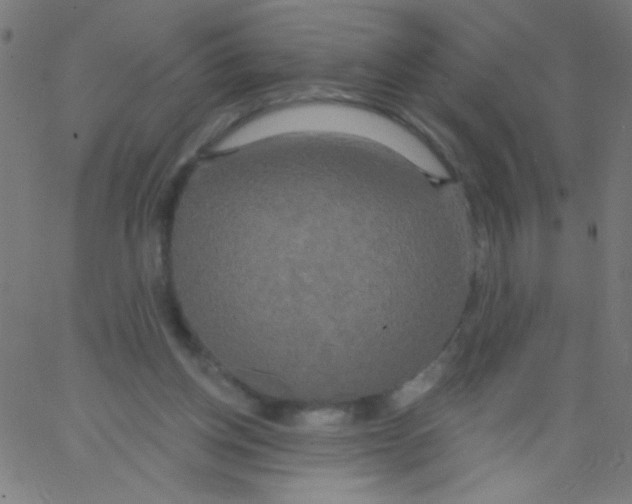 X0000067390158200604281851