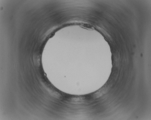 X0000067390160200604281851