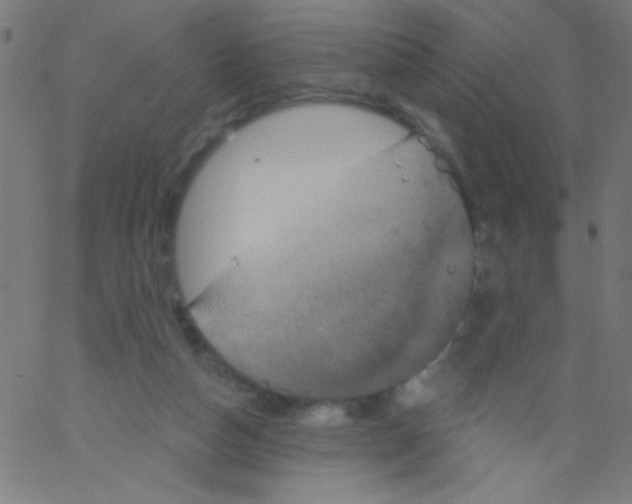 X0000067390162200604281851