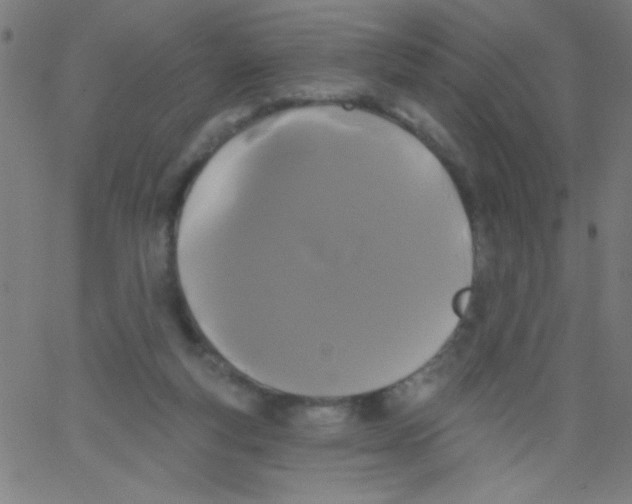 X0000067390163200604281851