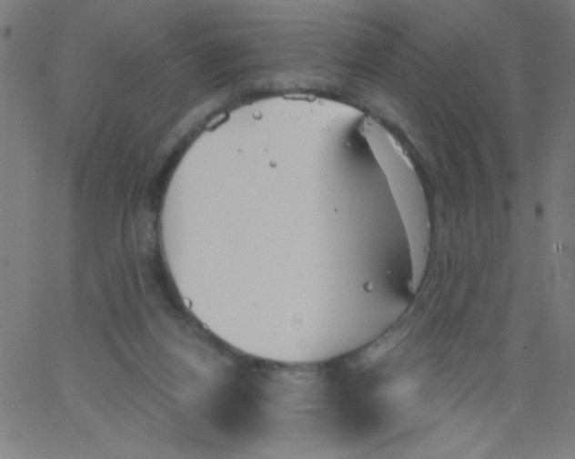 X0000067390164200604281851