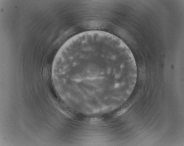 X0000067390165200604281851