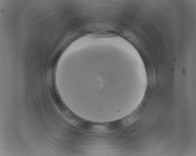 X0000067390167200604281851