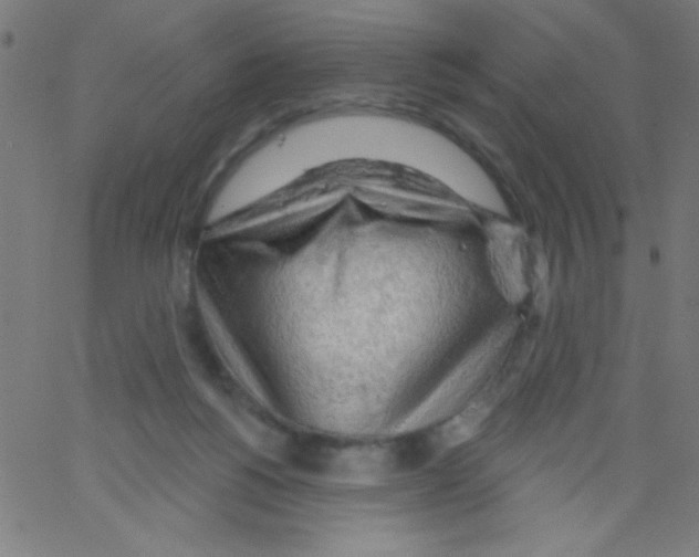 X0000067390168200604281851