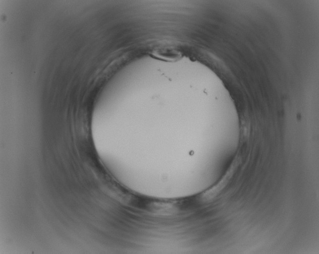 X0000067390170200604281851