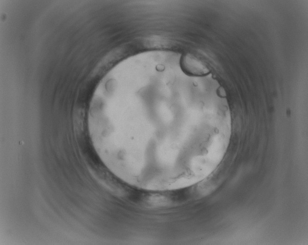 X0000067390171200604281851