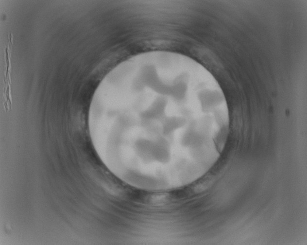 X0000067390173200604281851