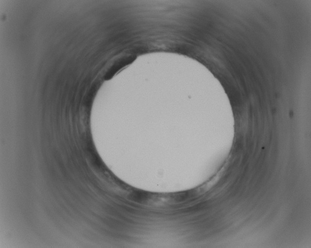 X0000067390174200604281851