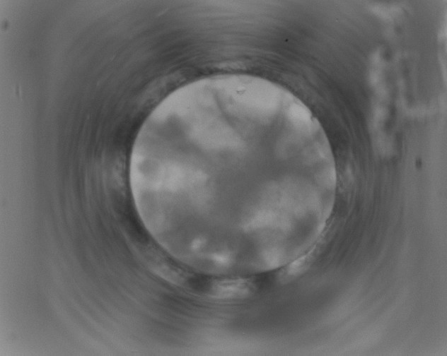 X0000067390175200604281851