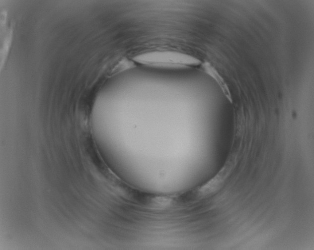 X0000067390176200604281851