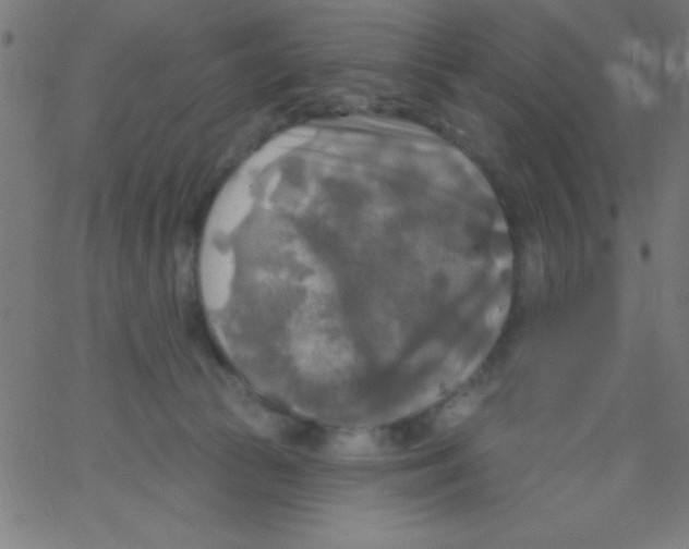 X0000067390177200604281851