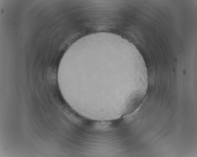 X0000067390179200604281852