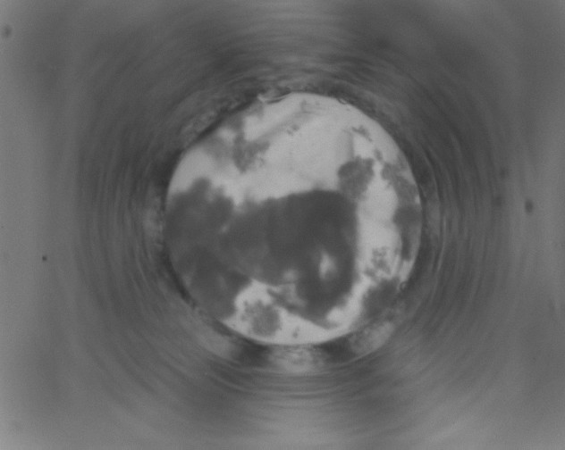 X0000067390181200604281852