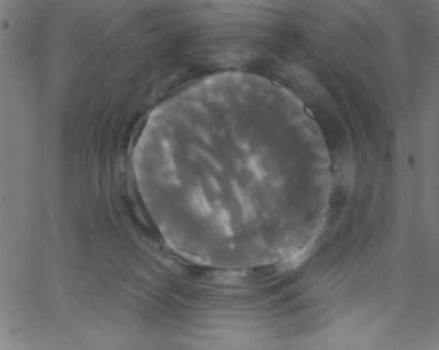 X0000067390182200604281852