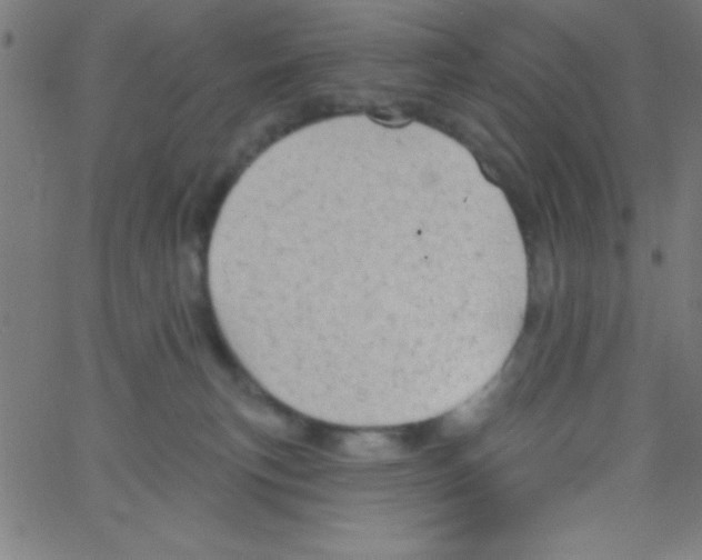 X0000067390183200604281852