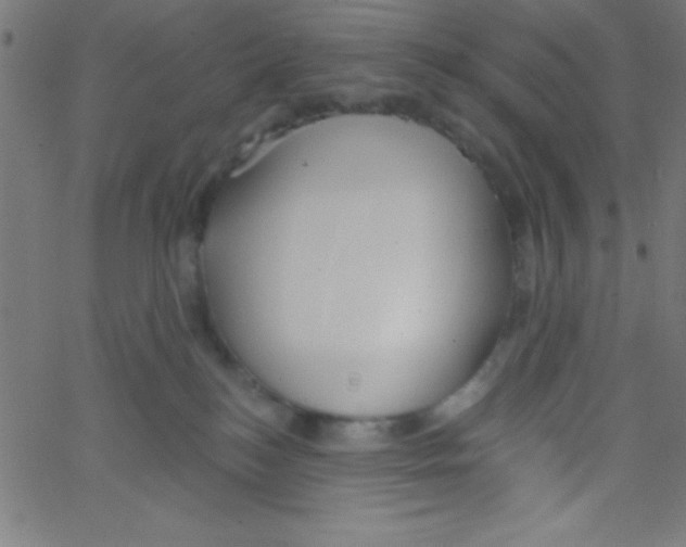 X0000067390184200604281852