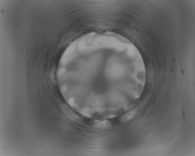 X0000067390185200604281852