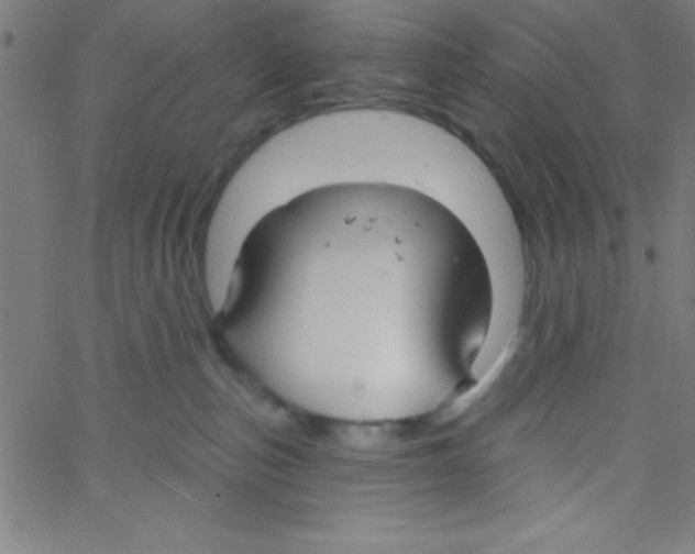 X0000067390187200604281852