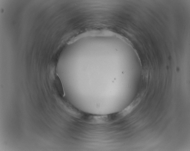 X0000067390188200604281852