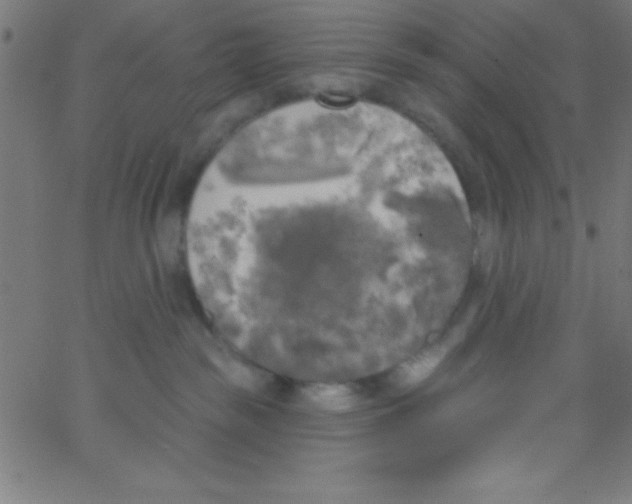 X0000067390189200604281852