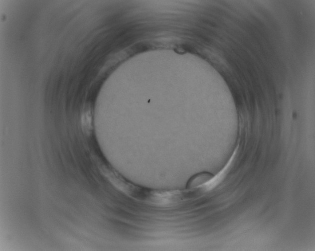 X0000067390190200604281852