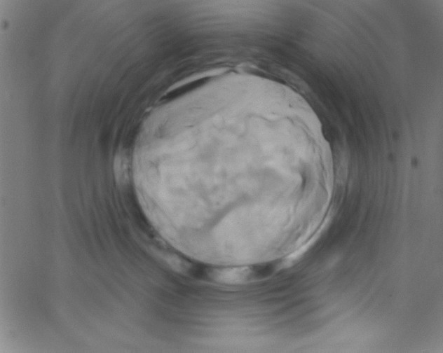 X0000067390191200604281852